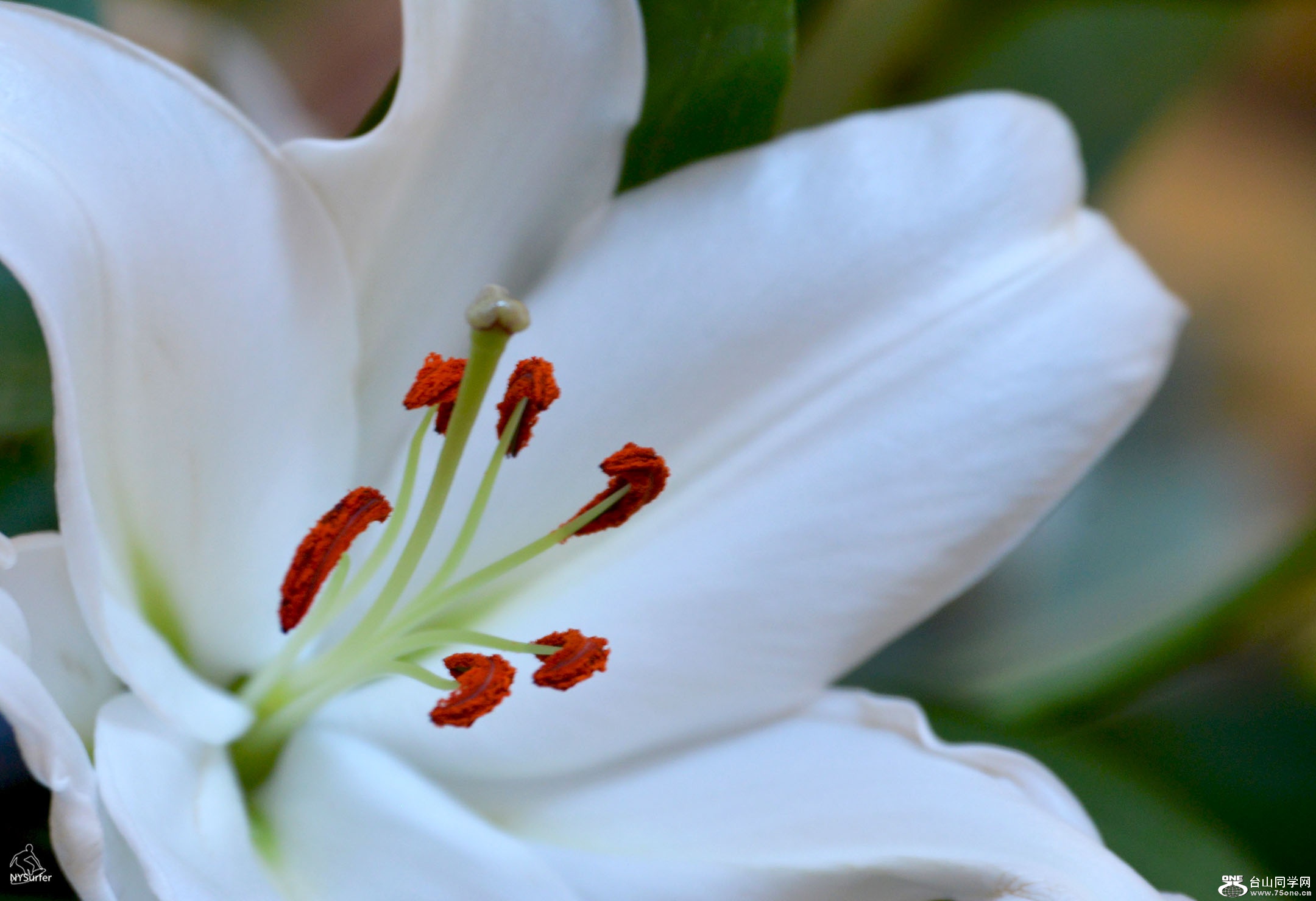 DSC_21203.jpg