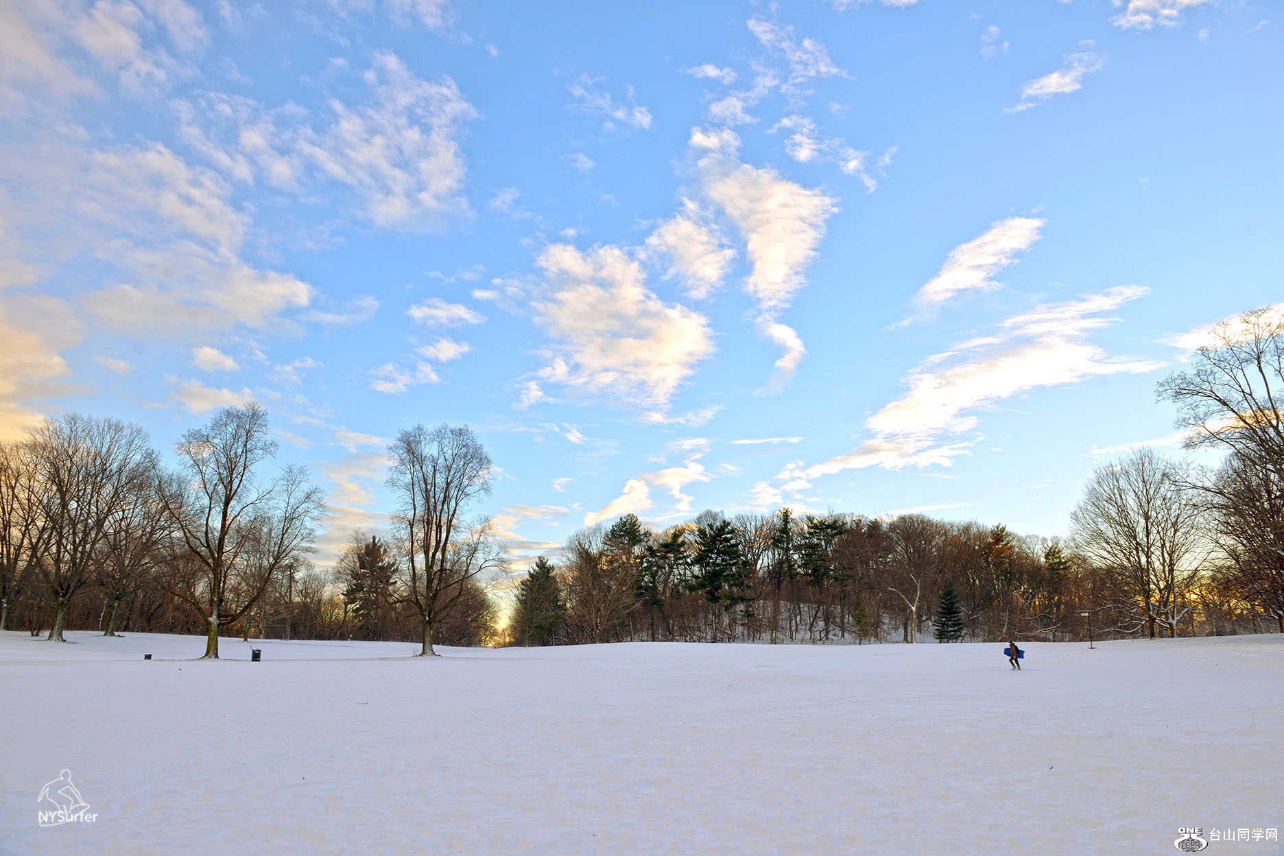 DSC_81673.jpg