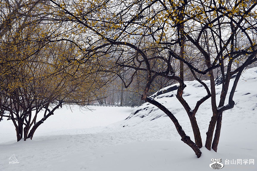DSC_01652.jpg