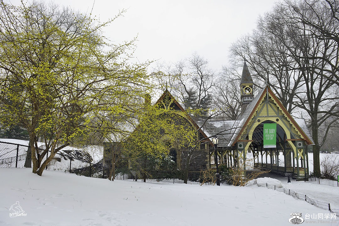 DSC_01633.jpg