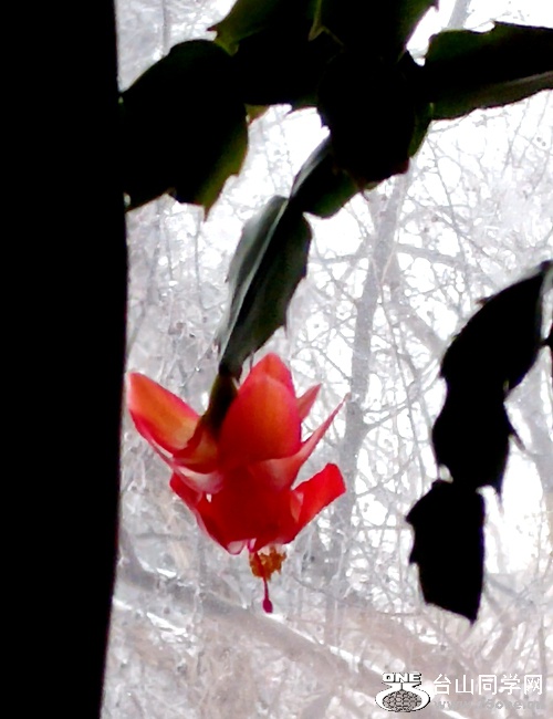 20170305_081608_HDR.jpg