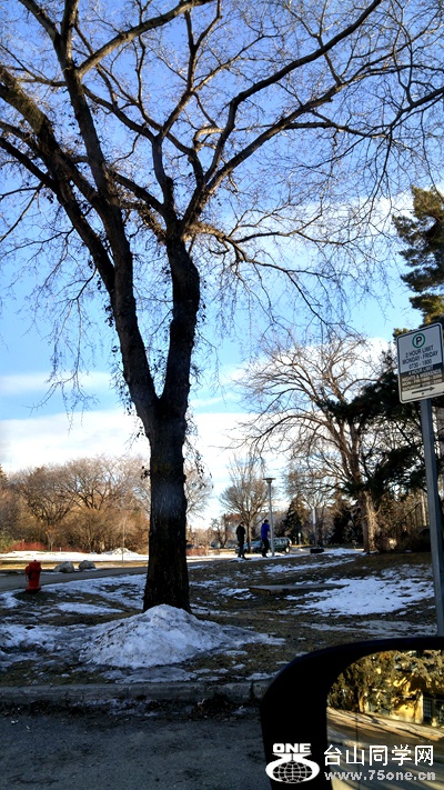 20170223_162501_HDR.jpg