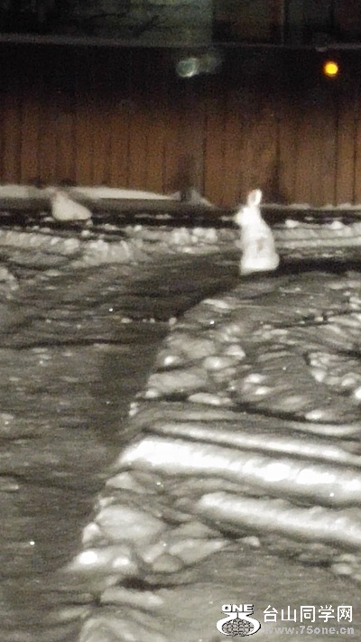 20170306_211956_HDR.jpg