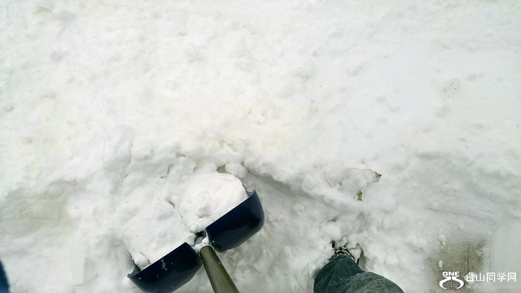 20170305_113819_HDR.jpg