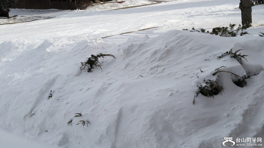 20170307_155024_HDR.jpg
