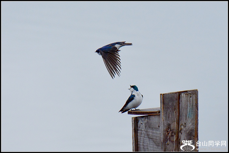 DSC_3300.JPG