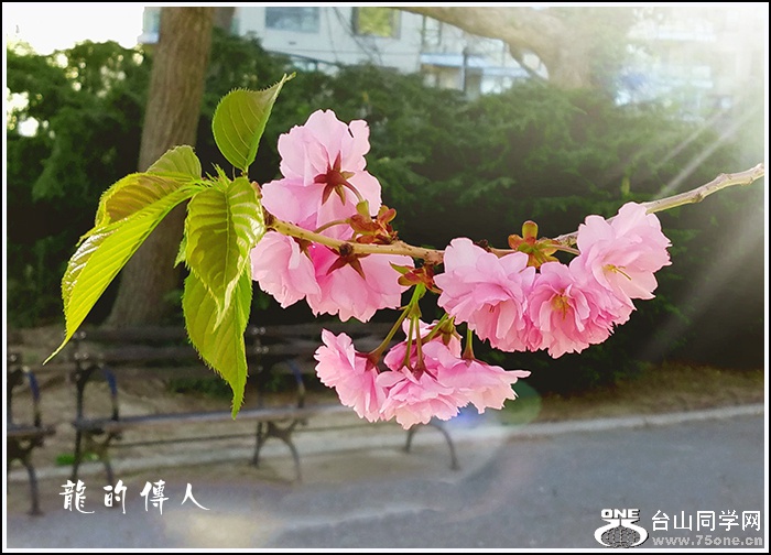 20170420_223313.jpg