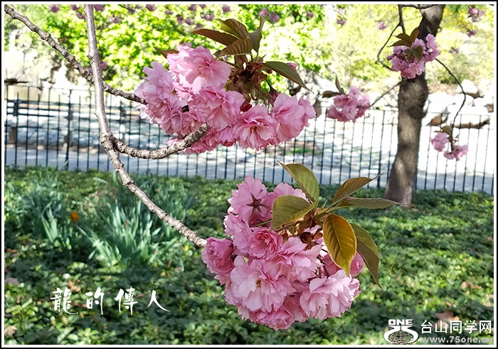20170418_162320.jpg