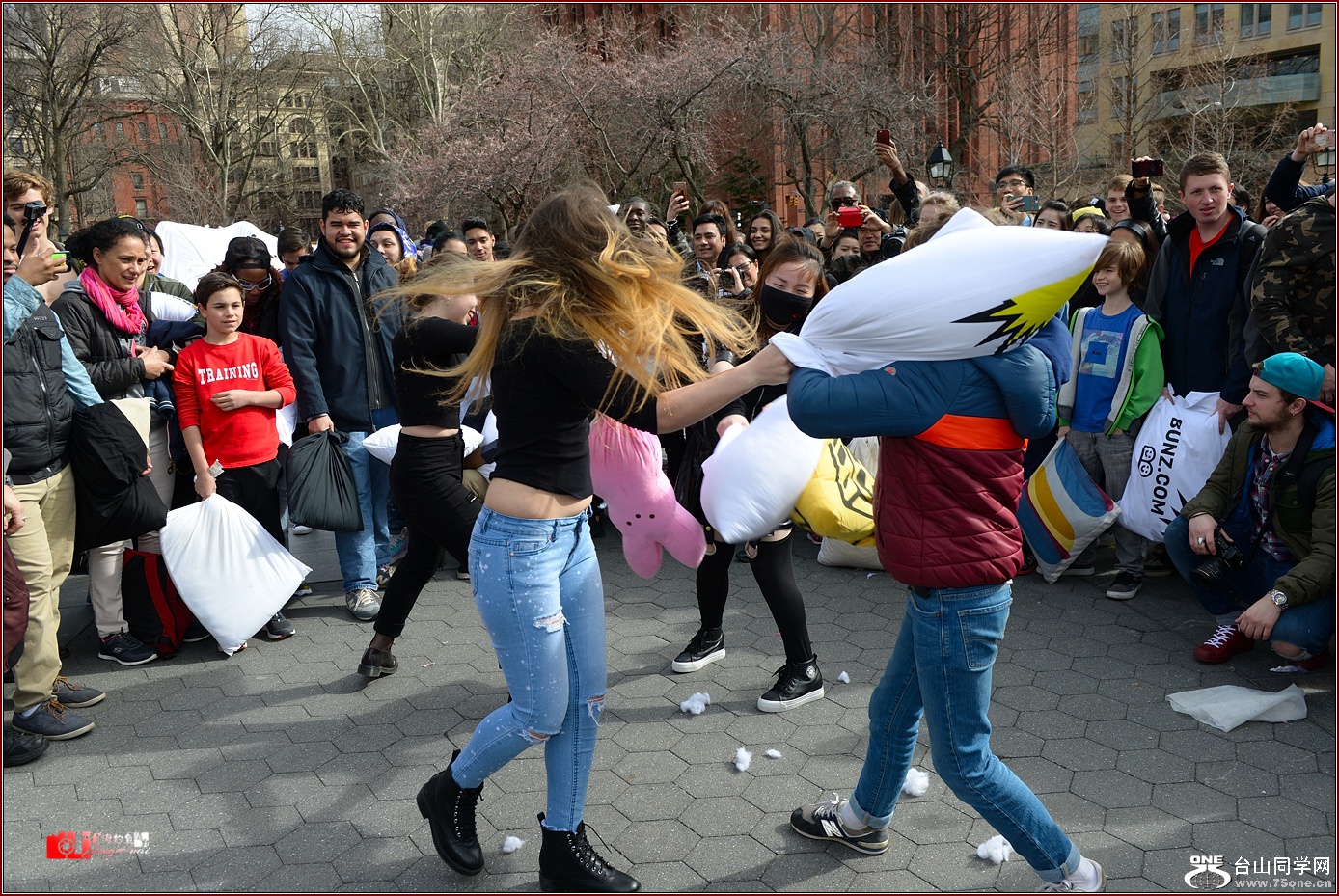 DSC_2126-2.jpg