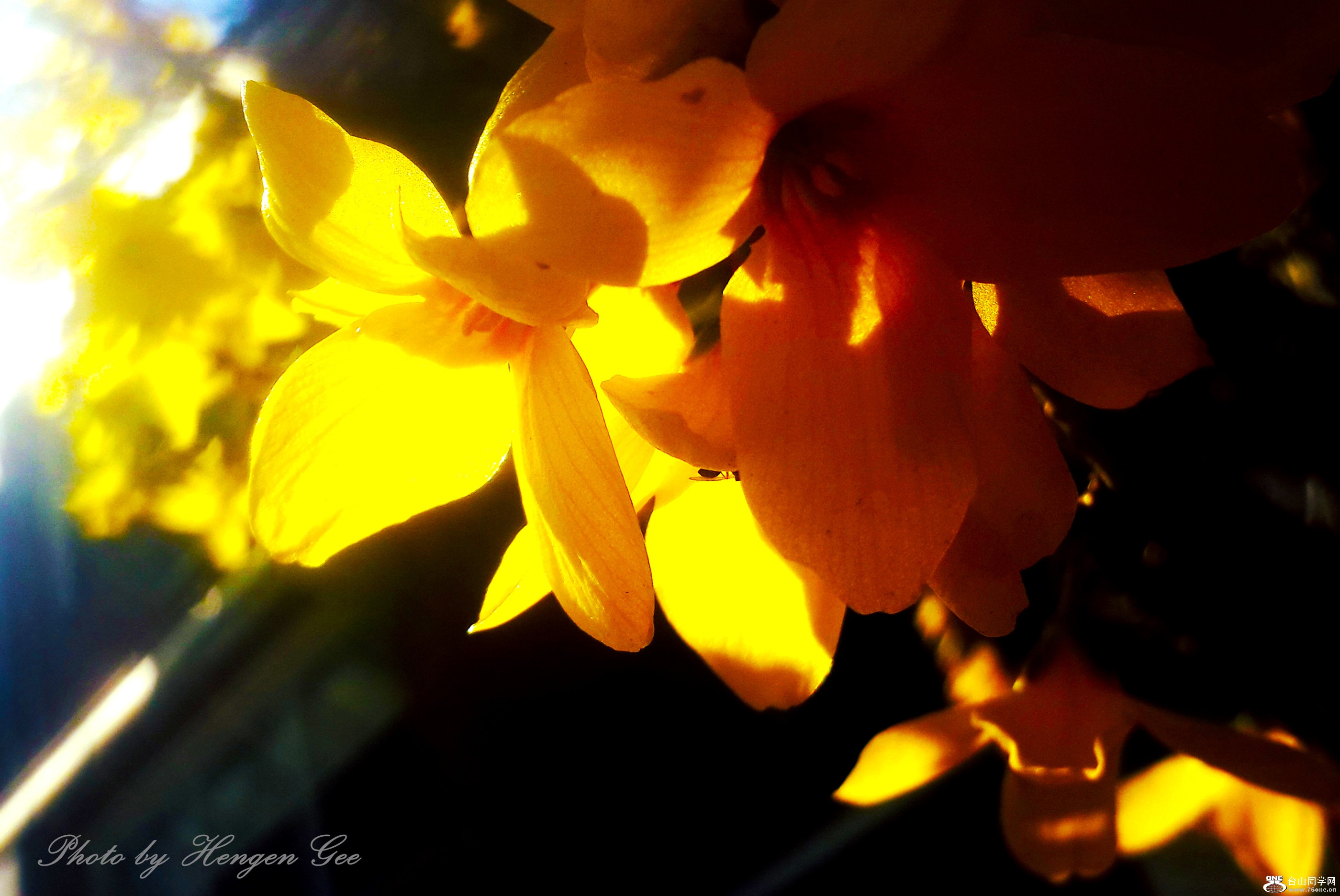 20170405_144113.jpg