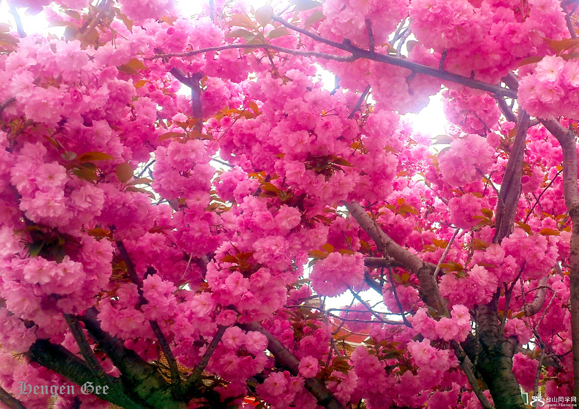 20170424_154700_.jpg