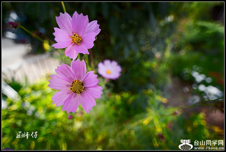 DSC_3346.jpg
