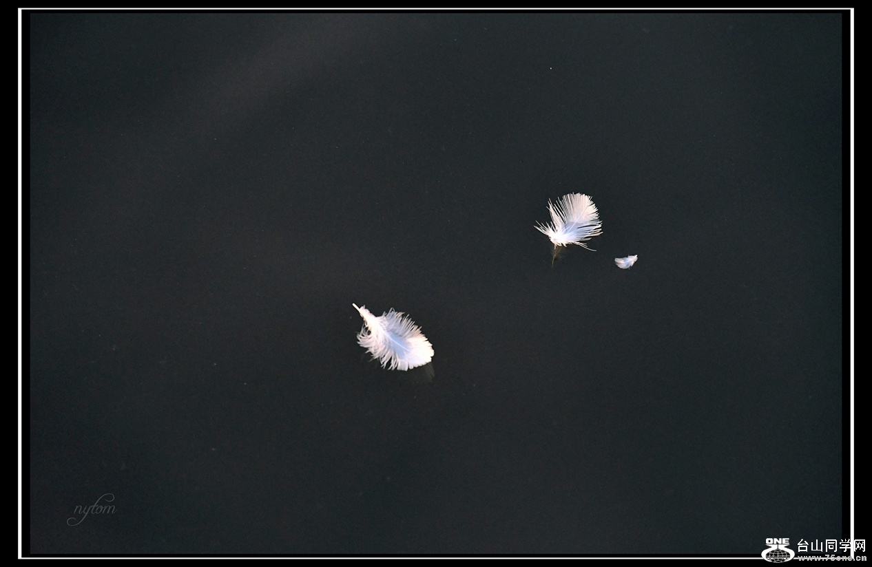 DSC_6048_.jpg