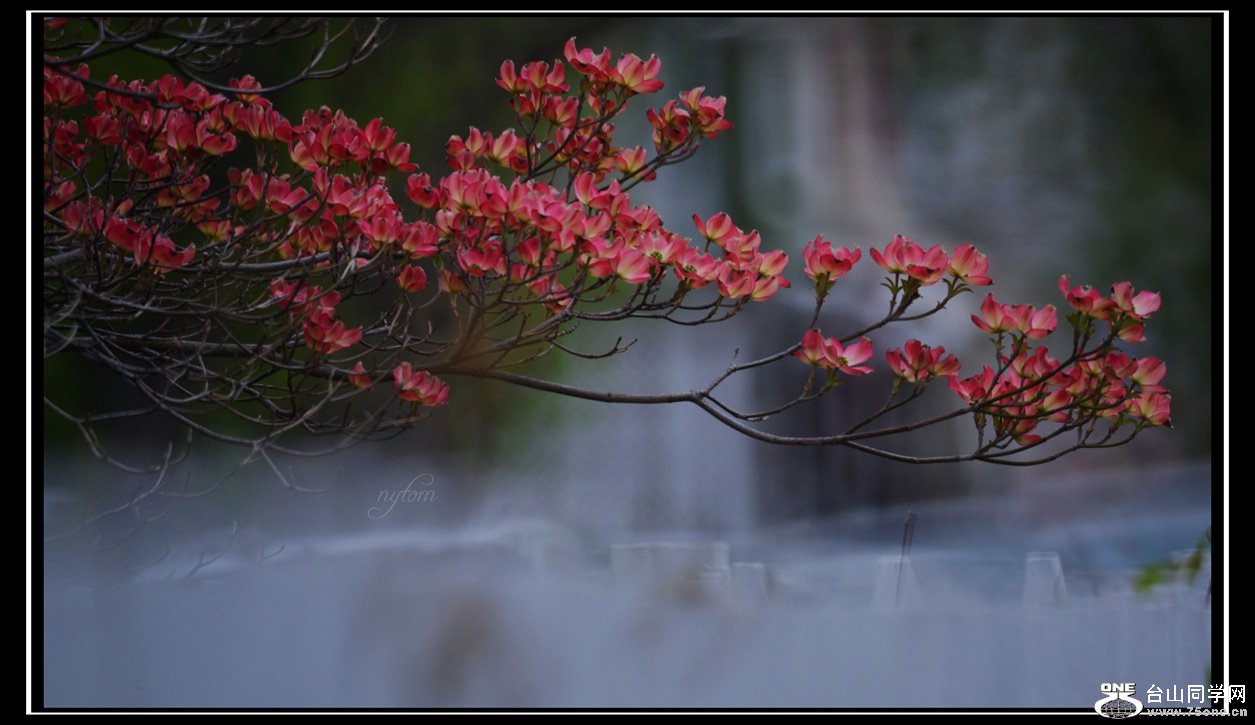 DSC_7597_.jpg