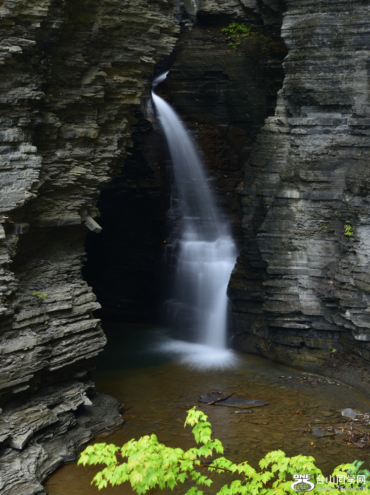 DSC_1305_.jpg
