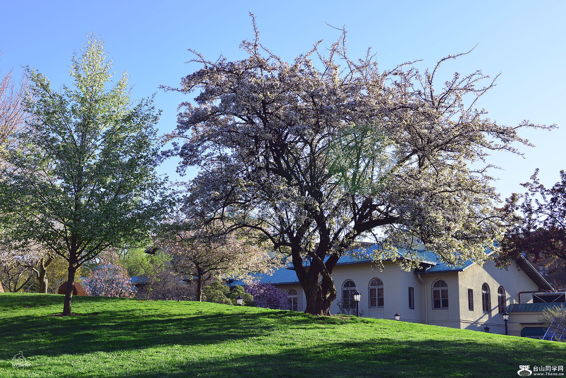 DSC_41749.jpg