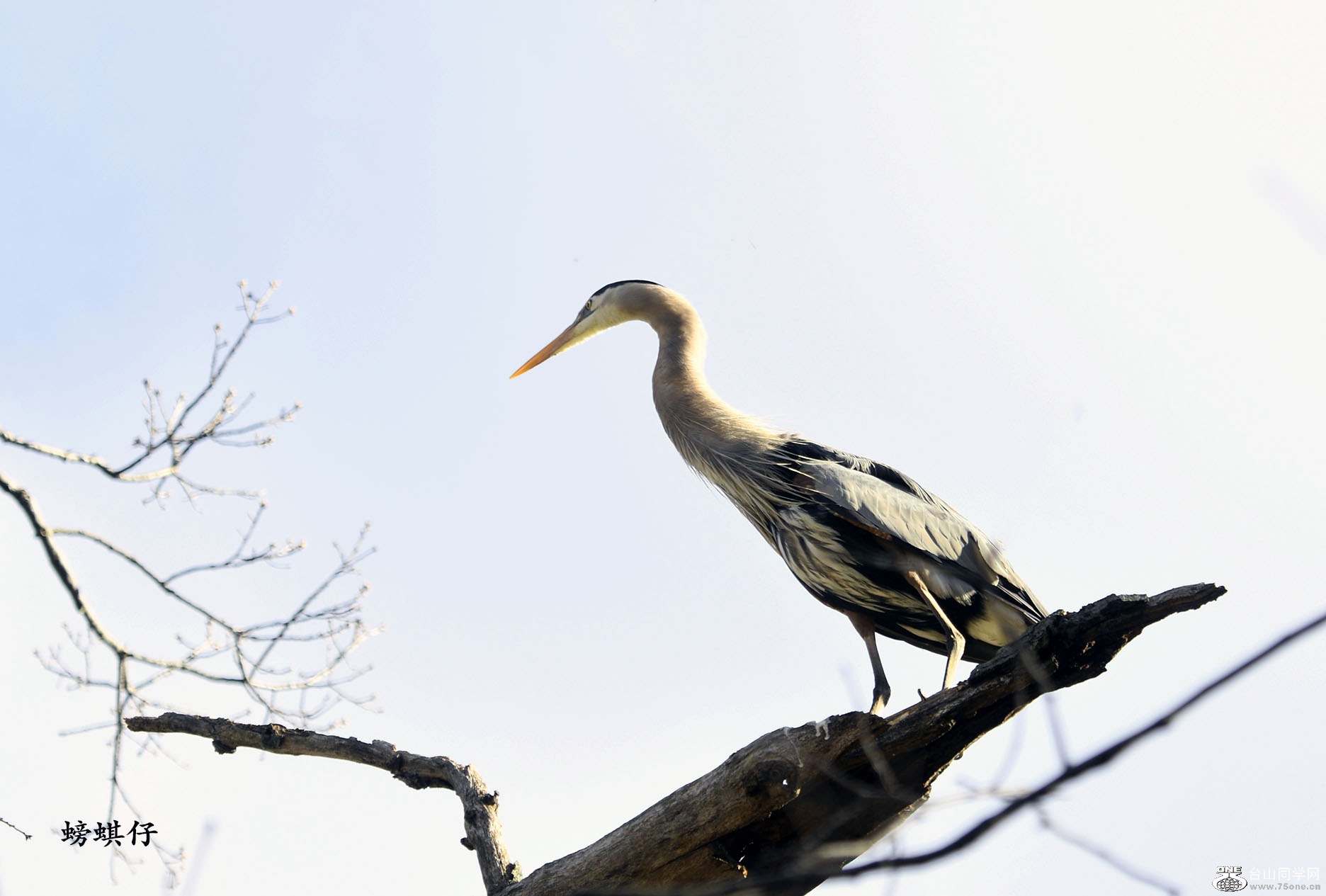 DSC_00123204.jpg
