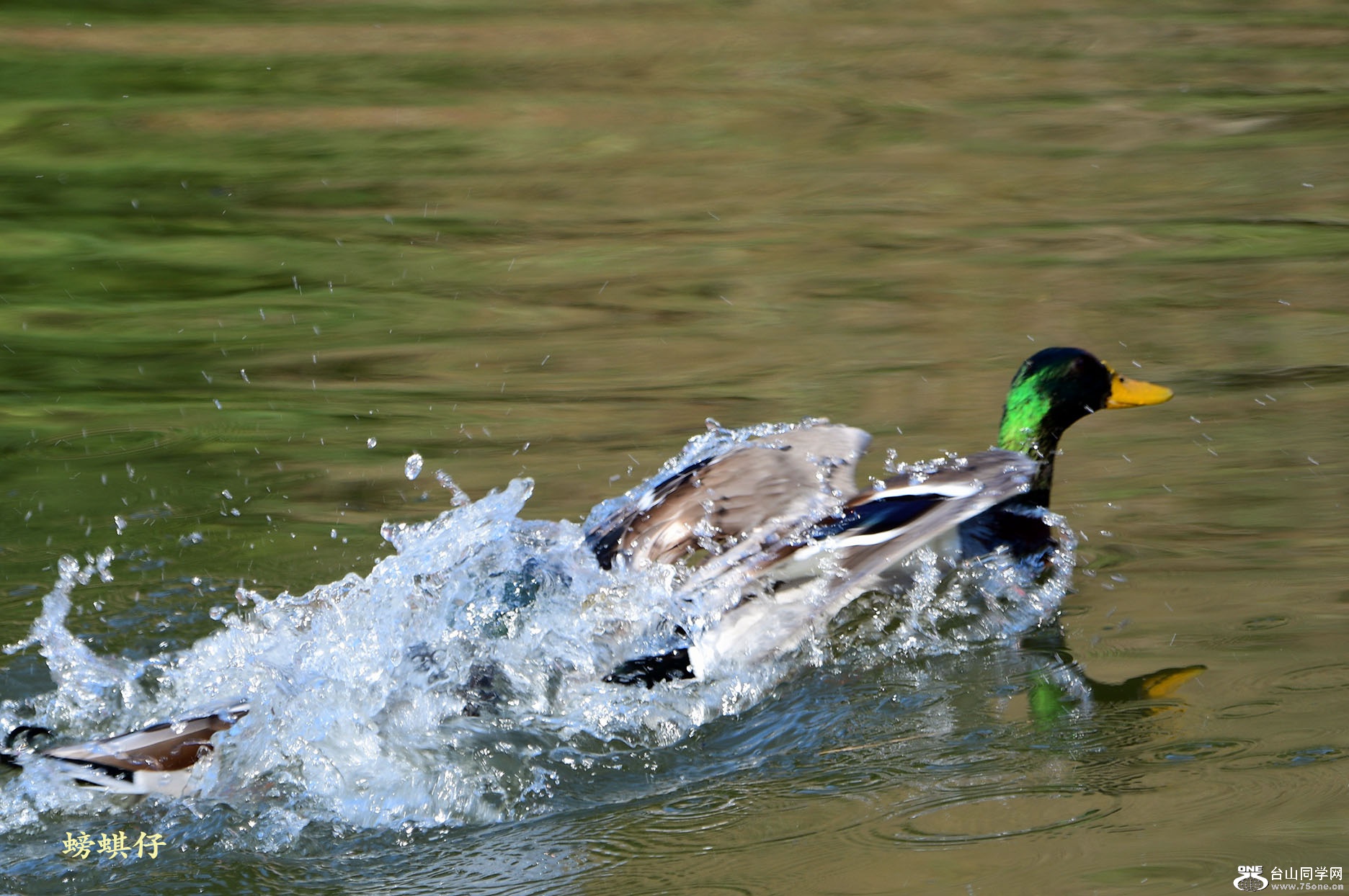 DSC_00123701.jpg