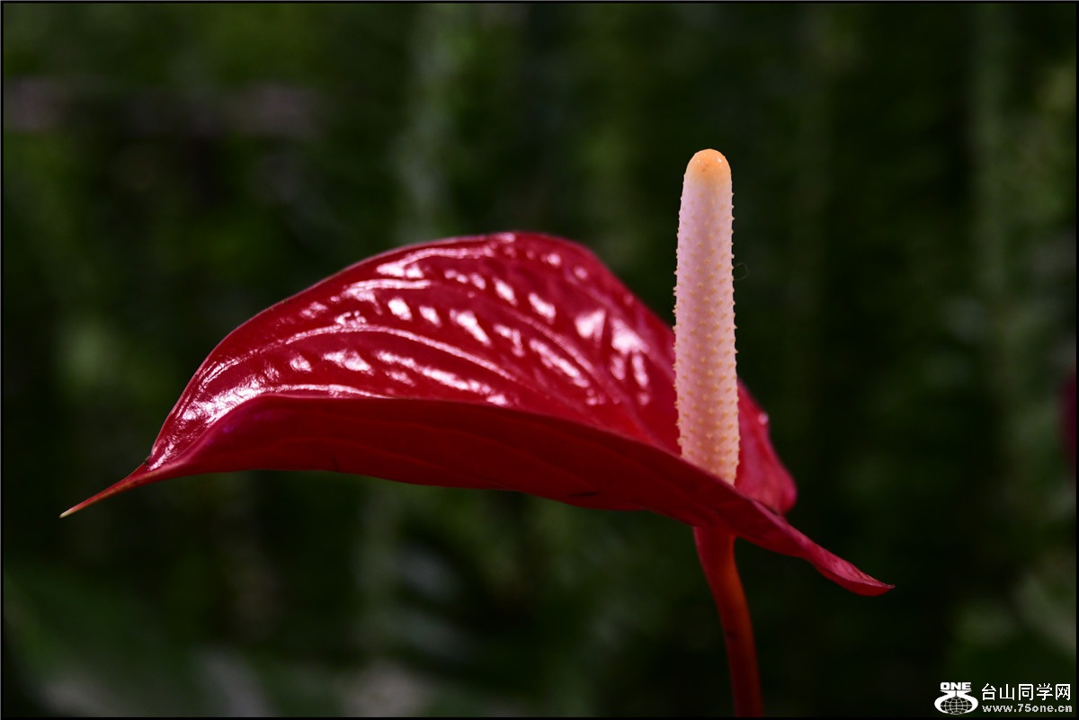 DSC_3589.jpg