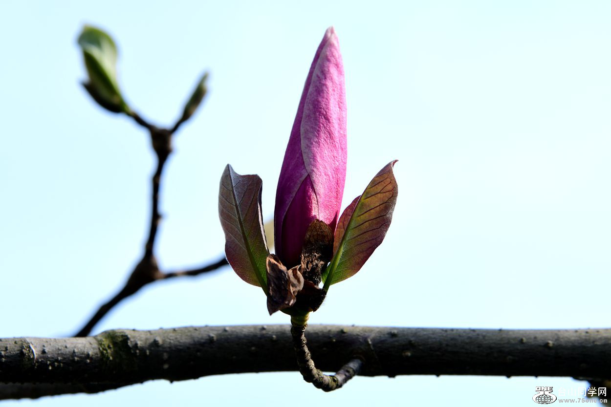 DSC_5116_.jpg