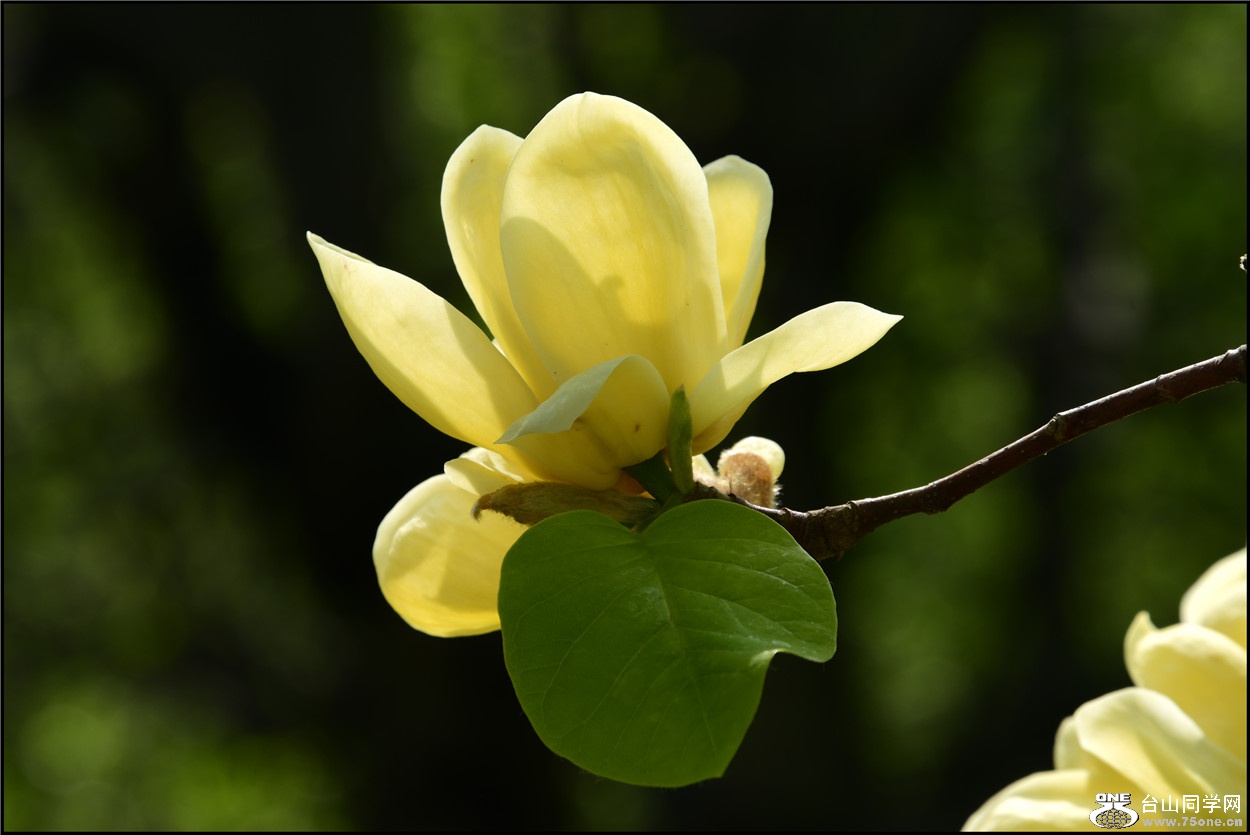 DSC_5092.jpg