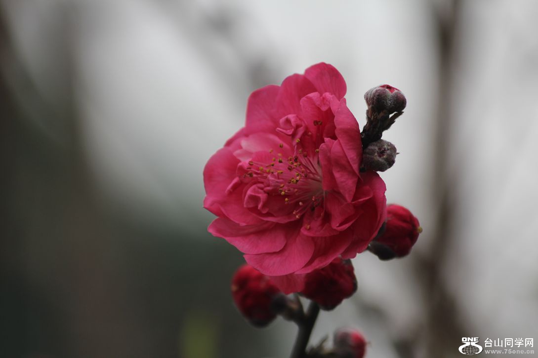 IMG_8096_.jpg