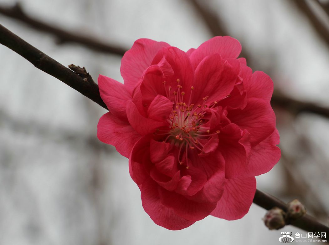 IMG_8075__.jpg