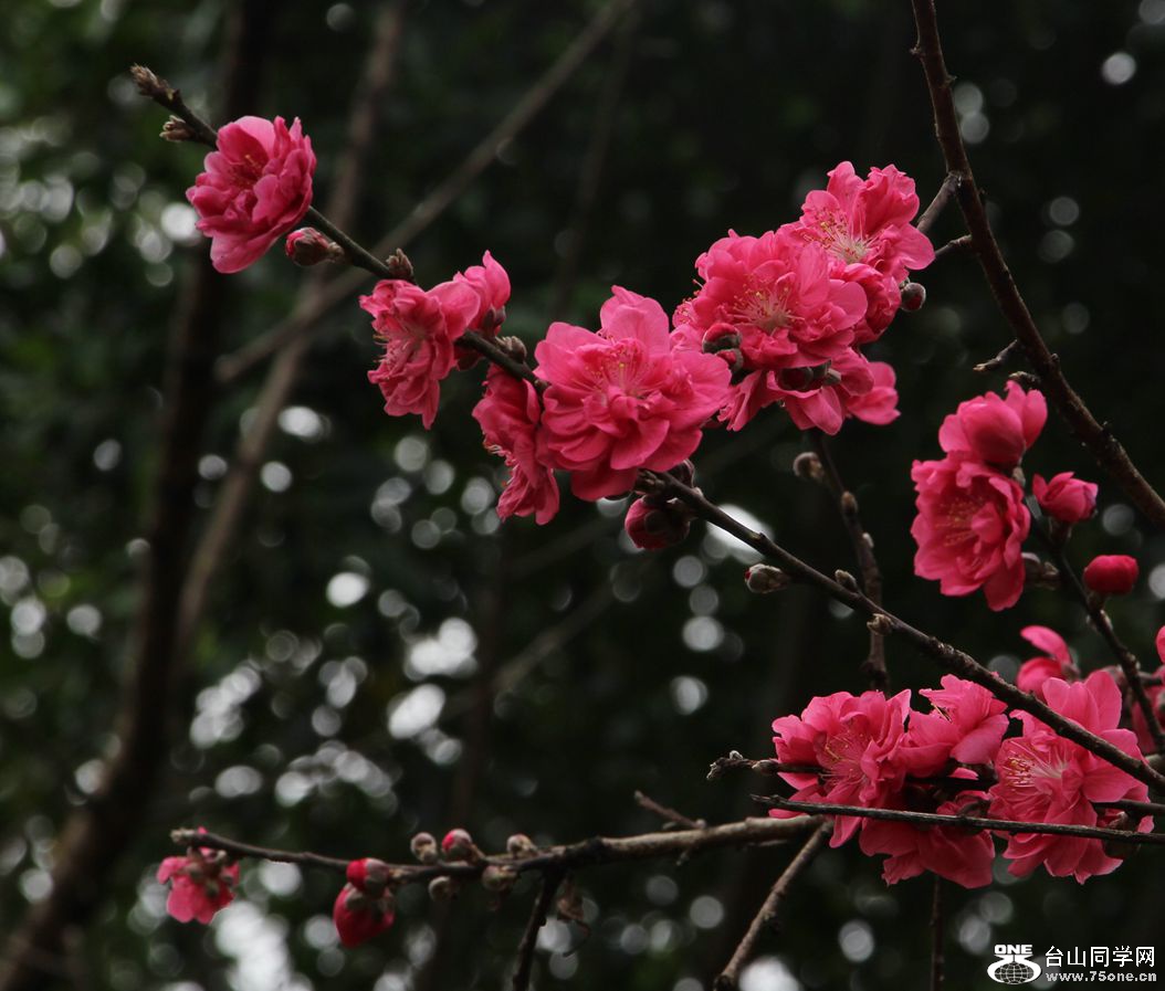 IMG_8293__.jpg