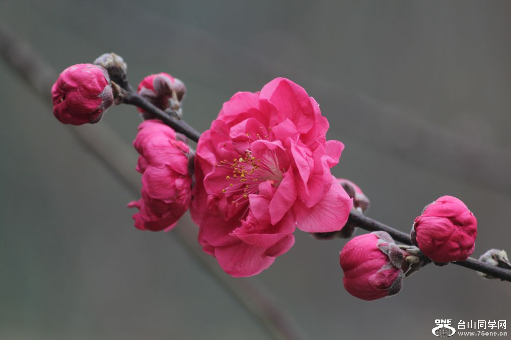 IMG_8089_.jpg
