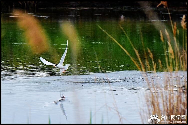DSC_3254.JPG