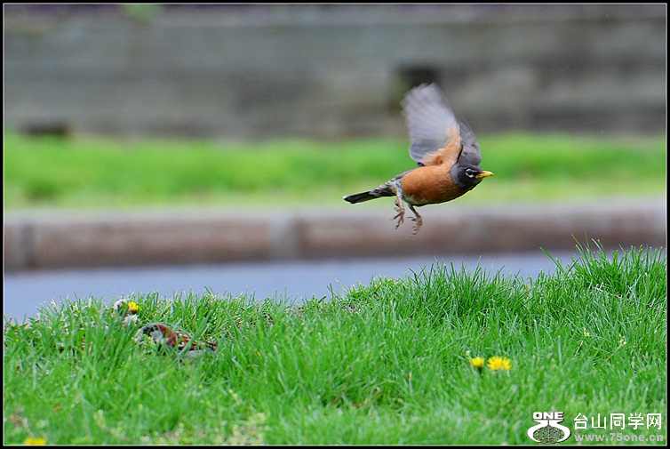 DSC_3268.JPG