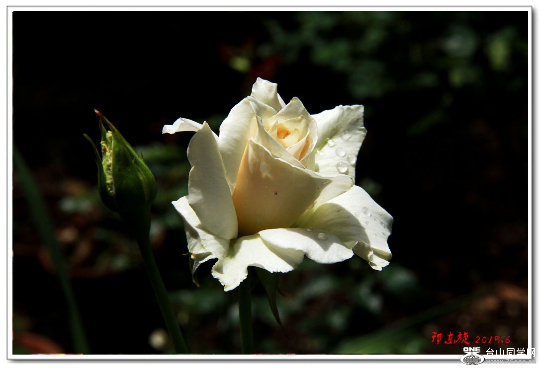 ŵػ025.jpg