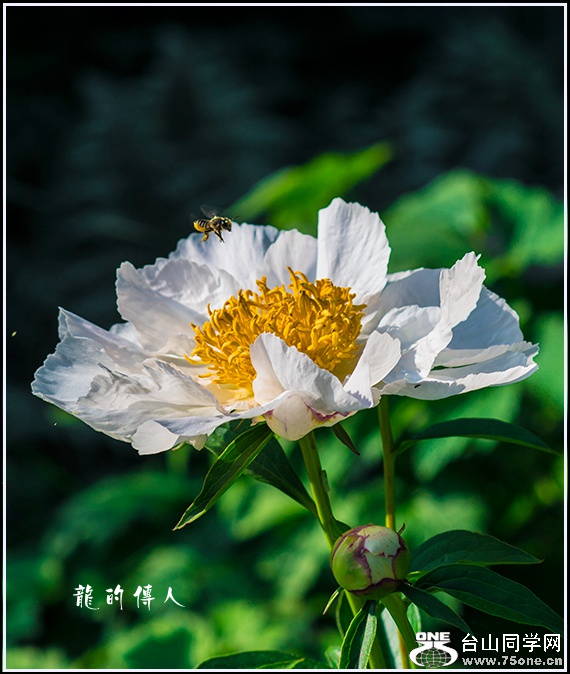 _DSC7760_.jpg