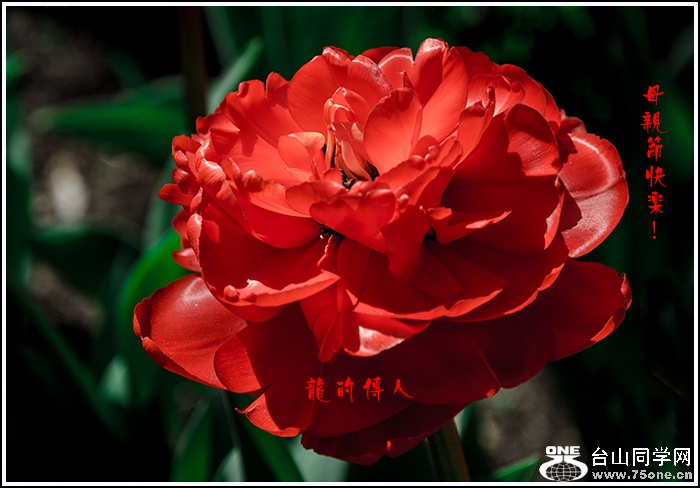 _DSC7307_.jpg