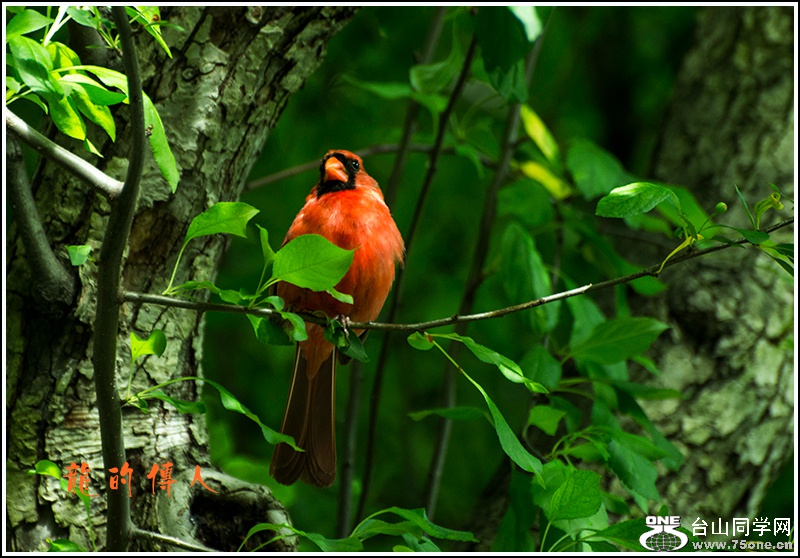 _DSC2876a.jpg