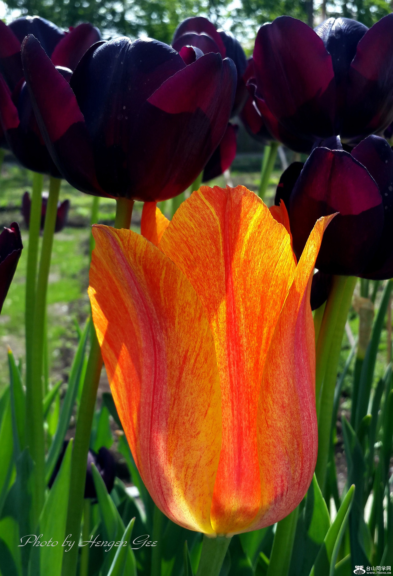 20170502_102350_.jpg
