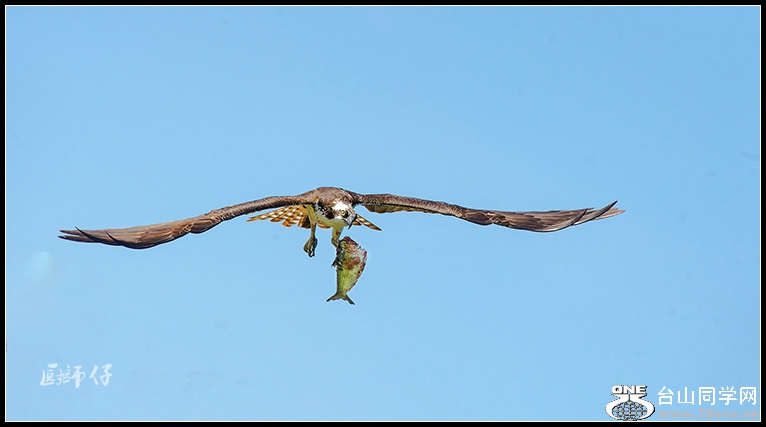 DSC_1281.jpg