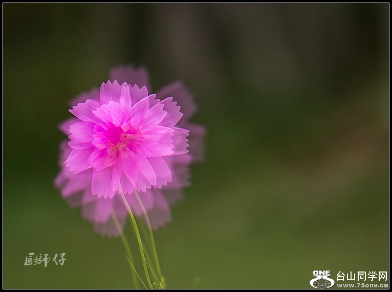 DSC_3366.jpg