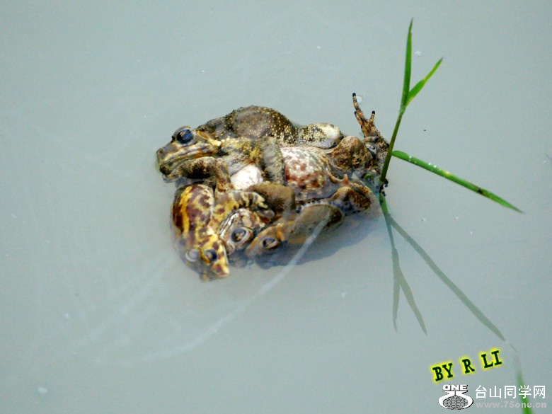 l2950903_conew1.jpg