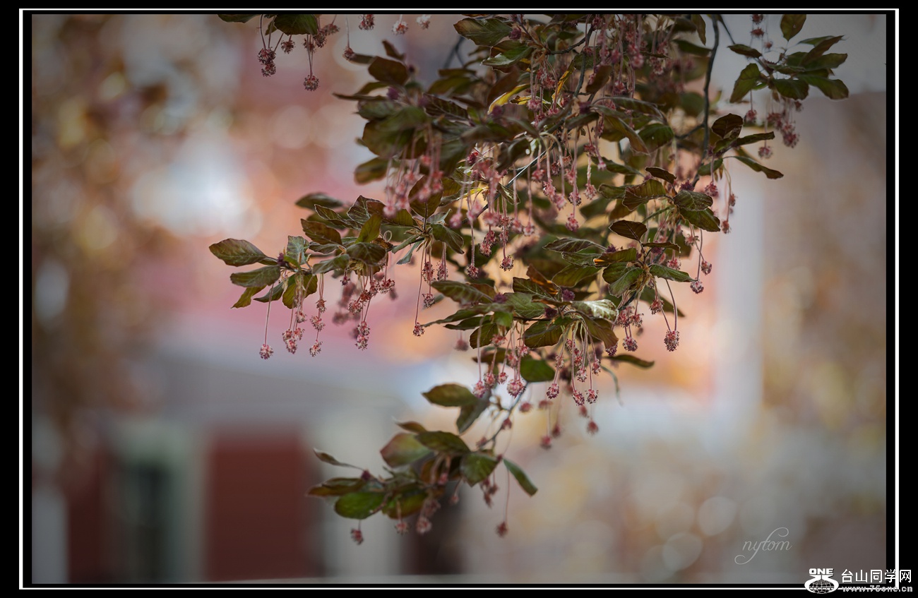 DSC_7365_.jpg