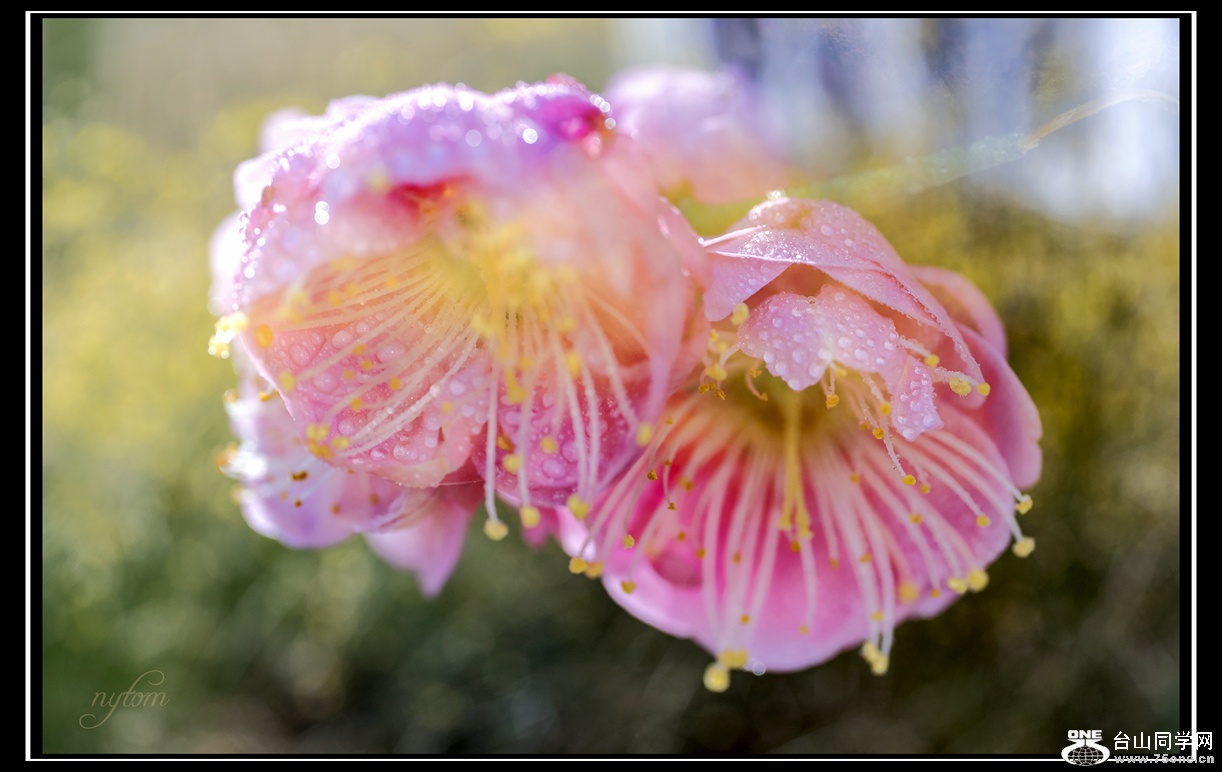 DSC_3591_.jpg