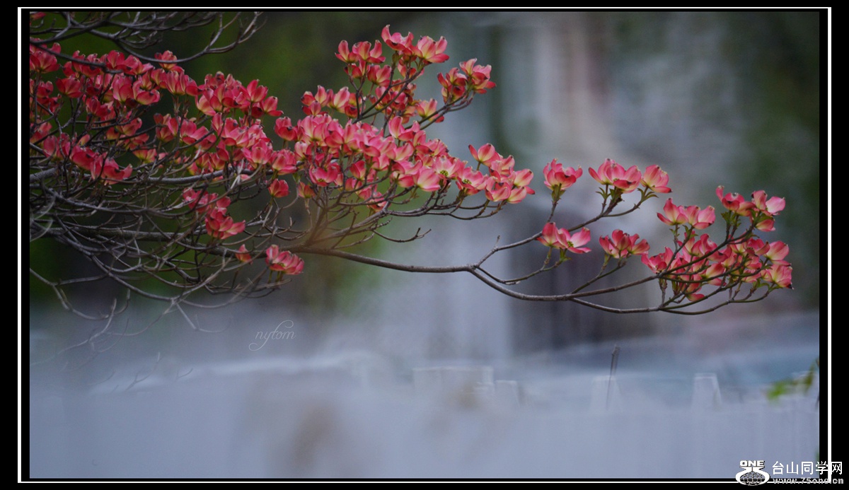 DSC_7597_.jpg