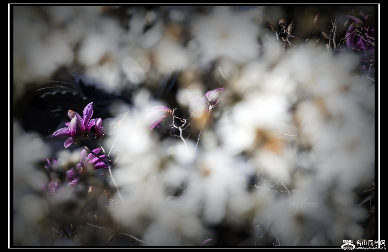 DSC_7121_.jpg