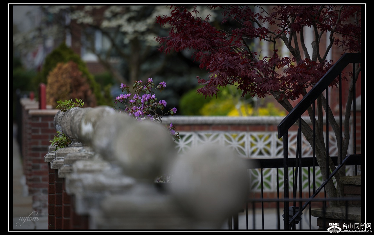DSC_7368_.jpg