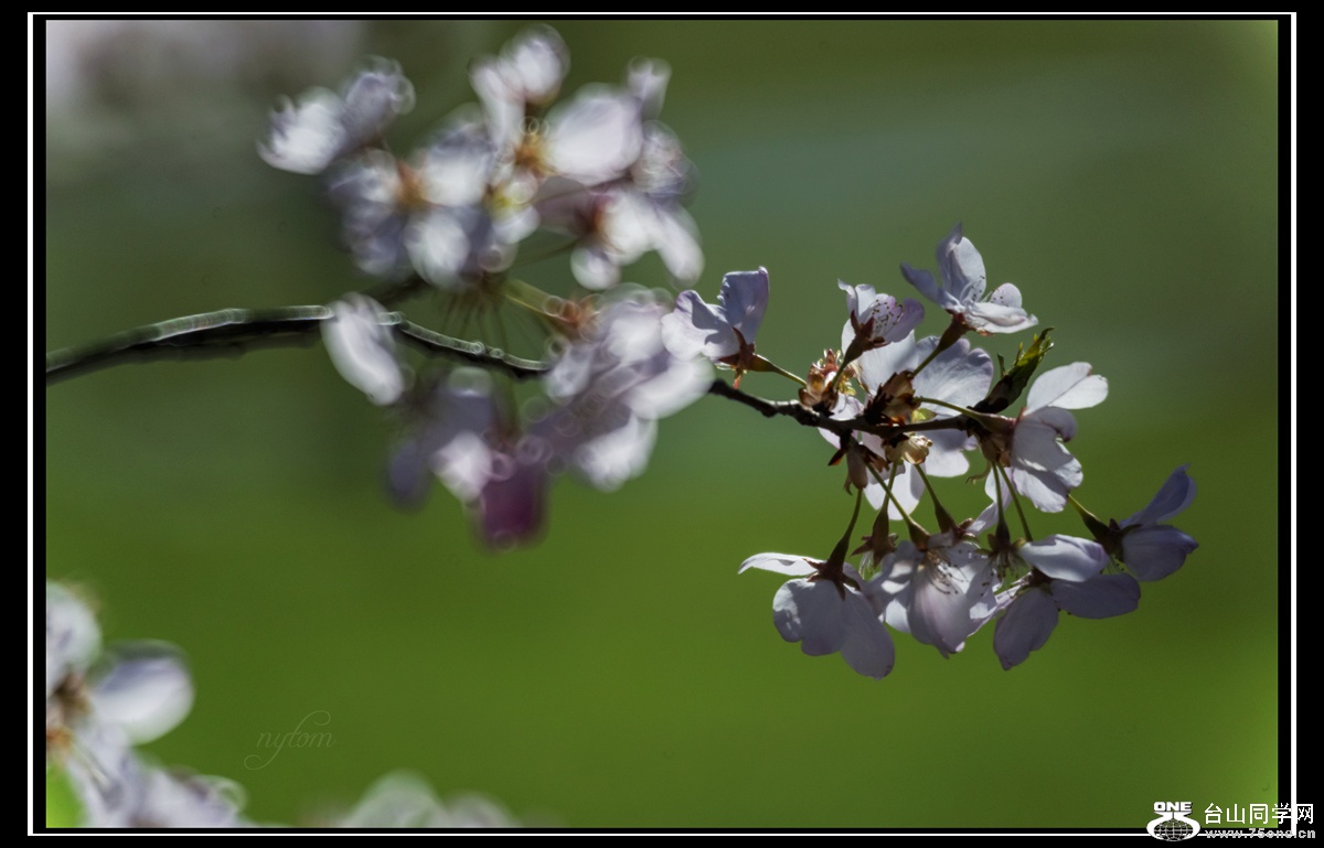 DSC_5821_.jpg