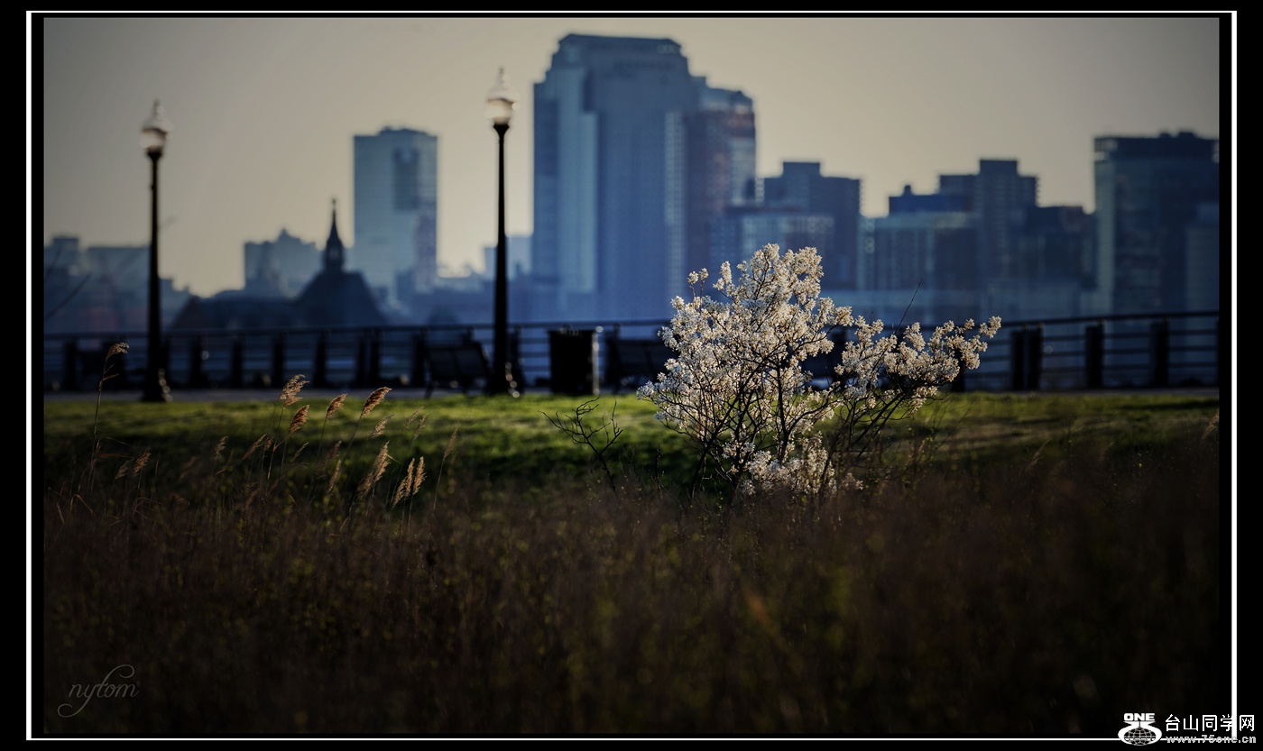 DSC_1477_.jpg