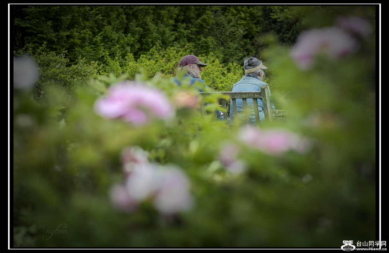 DSC_5232_.jpg
