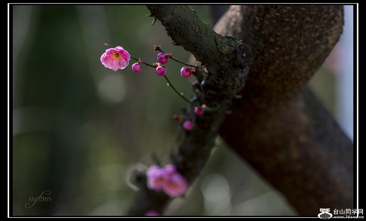 DSC_3566_.jpg