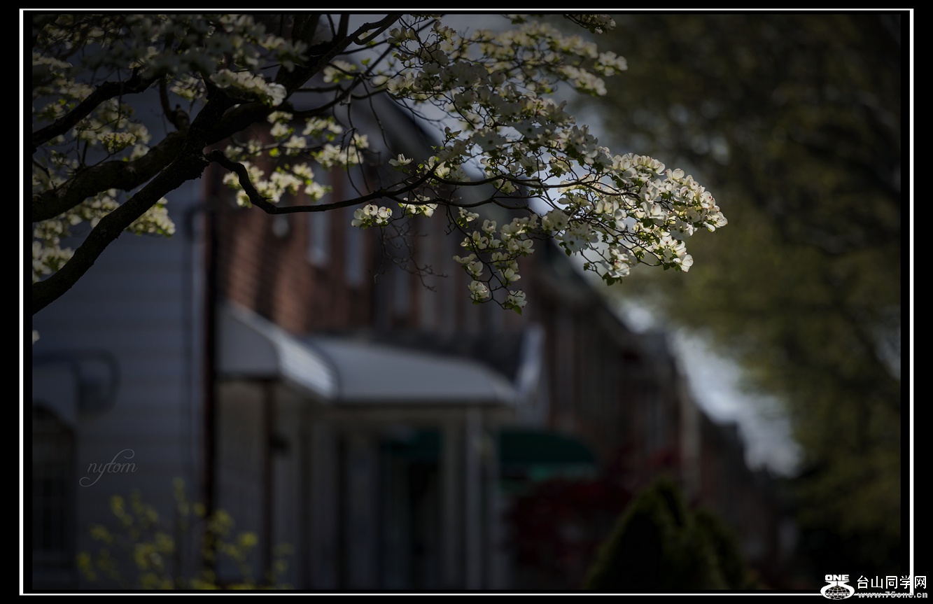 DSC_7319_.jpg