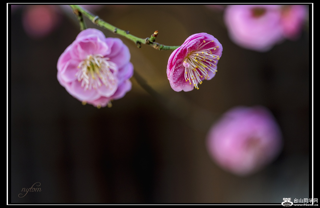 DSC_3659_.jpg
